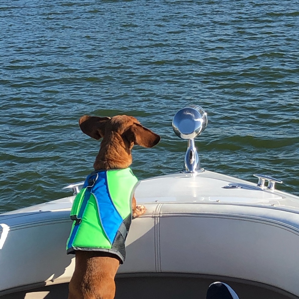 Meet your Posher, Terri